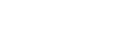 logo light